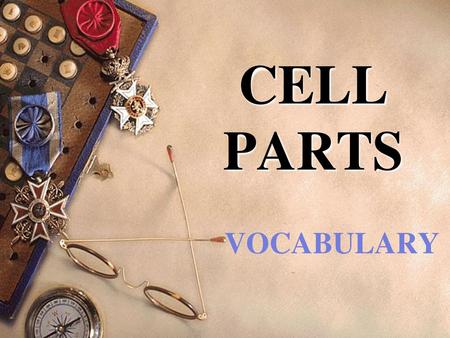 CELL PARTS VOCABULARY.