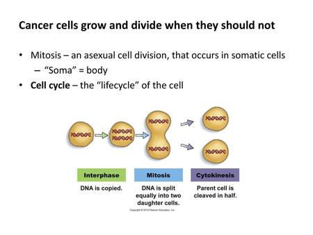 Cancer cells grow and divide when they should not