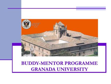 BUDDY-MENTOR PROGRAMME