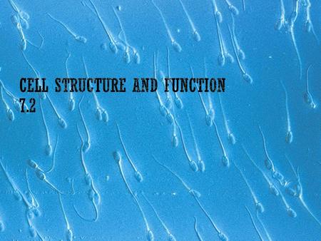 Cell Structure and Function 7.2