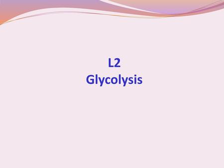 L2 Glycolysis.