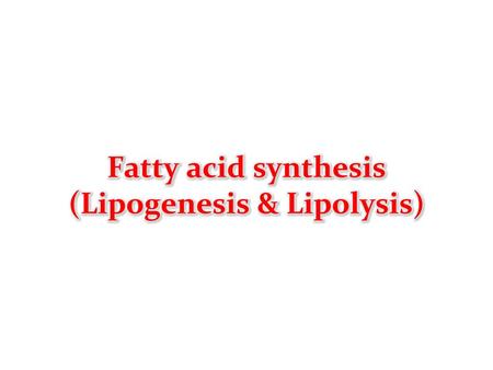 Fatty acid synthesis (Lipogenesis & Lipolysis)