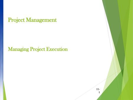 Project Management Managing Project Execution