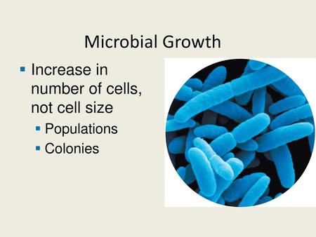 Increase in number of cells, not cell size Populations Colonies