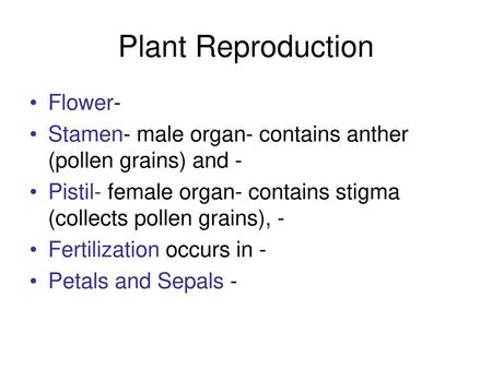 Plant Reproduction Flower-