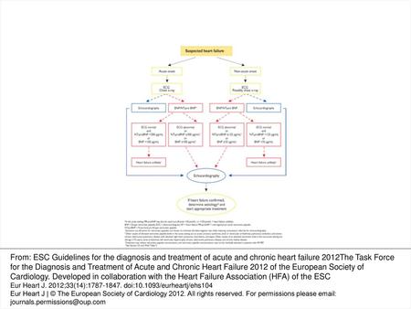 Figure 1 Diagnostic flowchart for patients with suspected heart failure—showing alternative ‘echocardiography first’ (blue) or ‘natriuretic peptide first’