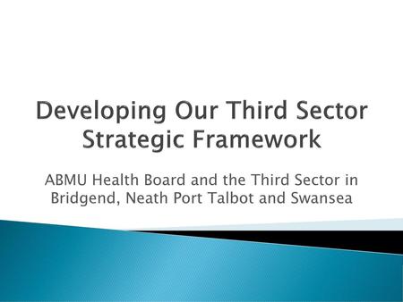 Developing Our Third Sector Strategic Framework