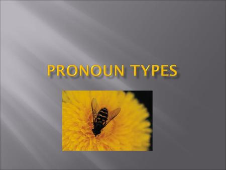 Pronoun Types.