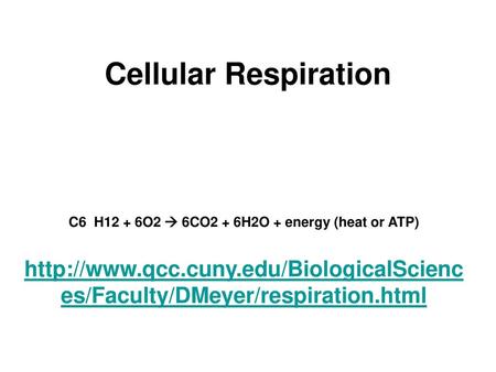 C6 H12 + 6O2  6CO2 + 6H2O + energy (heat or ATP)