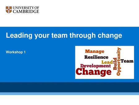 Leading your team through change