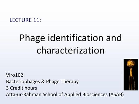 Phage identification and characterization