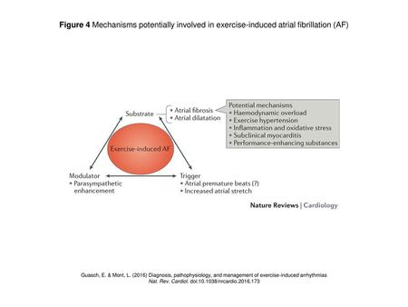 Nat. Rev. Cardiol. doi: /nrcardio