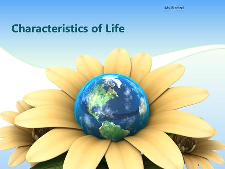 Characteristics of Life