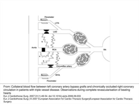 Fig. 1 Clinical model of coronary collateral flow