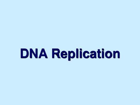 DNA Replication.