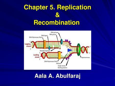 Chapter 5. Replication & Recombination