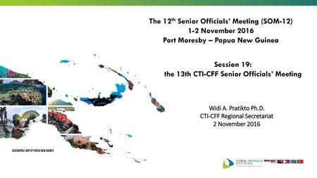 The 12th Senior Officials’ Meeting (SOM-12) 1-2 November 2016