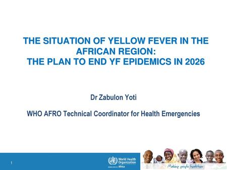 WHO AFRO Technical Coordinator for Health Emergencies