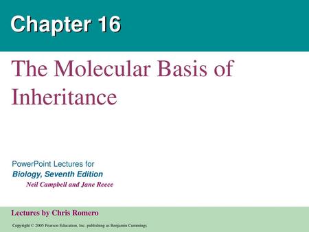 The Molecular Basis of Inheritance