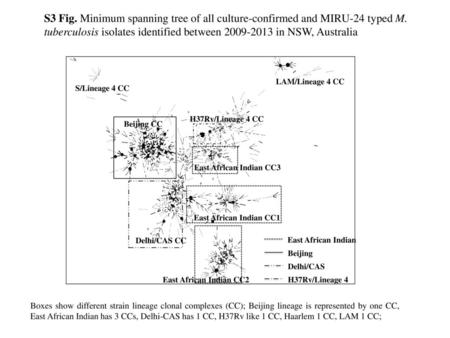 S3 Fig. Minimum spanning tree of all culture-confirmed and MIRU-24 typed M. tuberculosis isolates identified between 2009-2013 in NSW, Australia   Beijing.