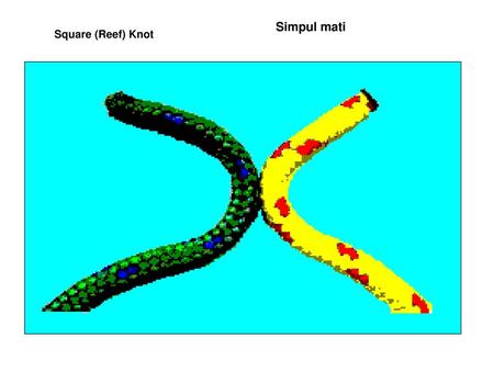 Simpul mati Square (Reef) Knot                                    