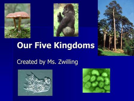 Our Five Kingdoms Created by Ms. Zwilling.