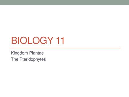 Kingdom Plantae The Pteridophytes