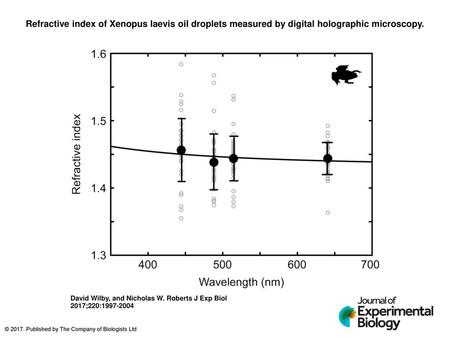 Refractive index of Xenopus laevis oil droplets measured by digital holographic microscopy. Refractive index of Xenopus laevis oil droplets measured by.