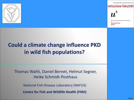 Could a climate change influence PKD in wild fish populations?