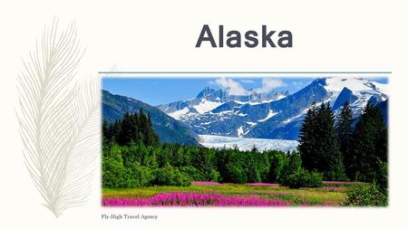 Alaska Fly-High Travel Agency.