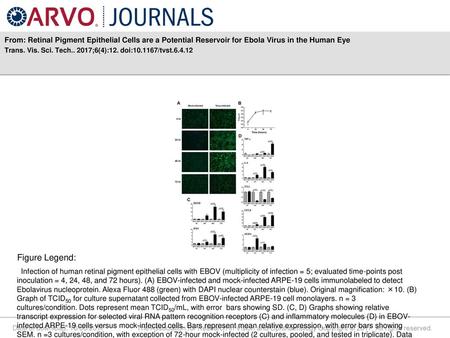 Trans. Vis. Sci. Tech ;6(4):12. doi: /tvst Figure Legend: