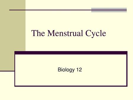 The Menstrual Cycle Biology 12.