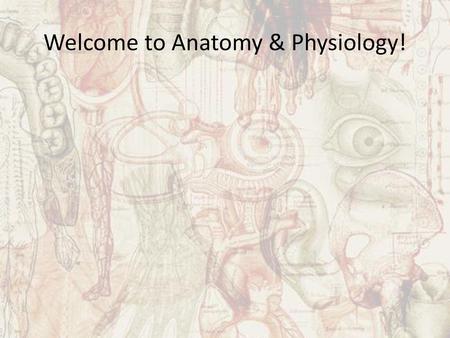 Welcome to Anatomy & Physiology!