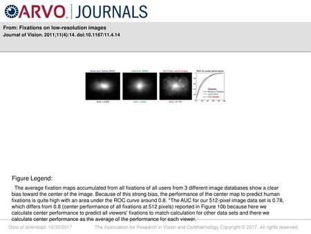 Figure Legend: From: Fixations on low-resolution images