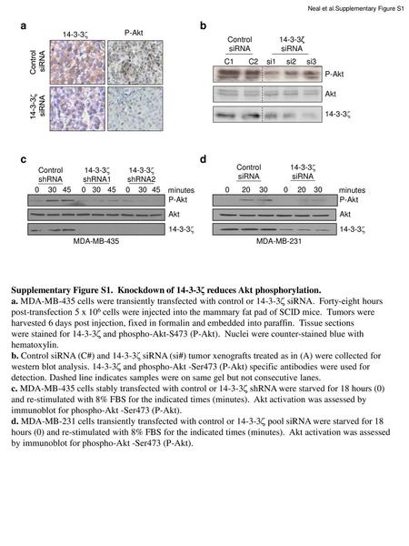 Neal et al.Supplementary Figure S1