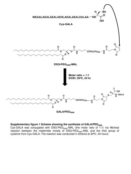 Supplementary figure 1 Scheme showing the synthesis of GALA/PEG2000