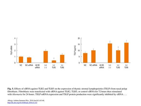 Fig. 5. Effects of siRNA against TLR2 and TLR5 on the expression of thymic stromal lymphopoietin (TSLP) from nasal polyp fibroblasts. Fibroblasts were.