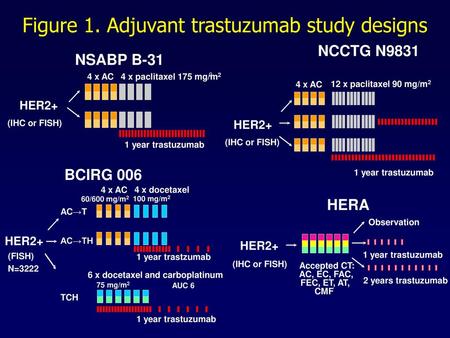 Figure 1. Adjuvant trastuzumab study designs