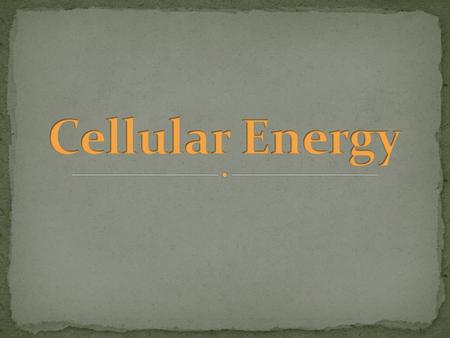 Cellular Energy.