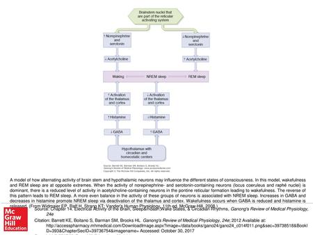 A model of how alternating activity of brain stem and hypothalamic neurons may influence the different states of consciousness. In this model, wakefulness.