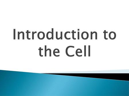 Introduction to the Cell