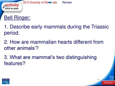 1. Describe early mammals during the Triassic period.