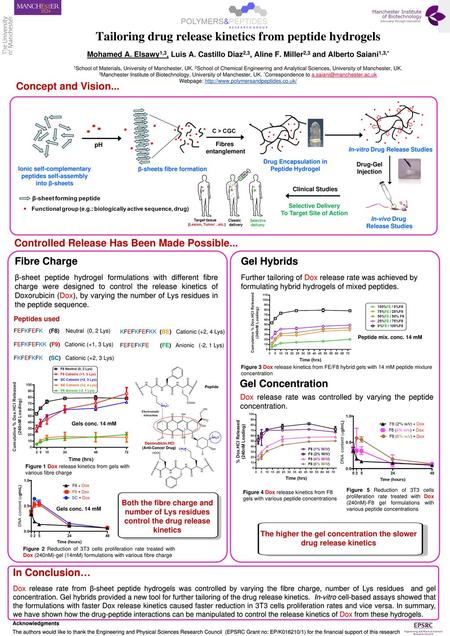 Tailoring drug release kinetics from peptide hydrogels Mohamed A