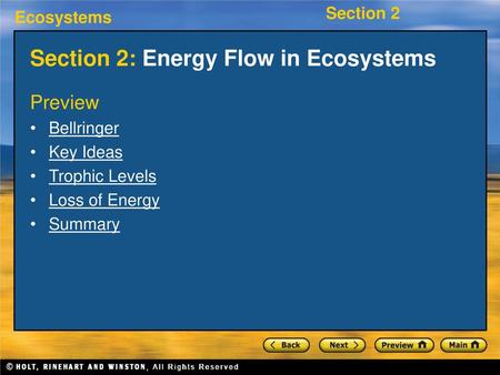 Section 2: Energy Flow in Ecosystems