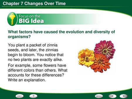 What factors have caused the evolution and diversity of organisms?