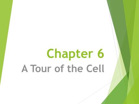 Chapter 6 A Tour of the Cell.