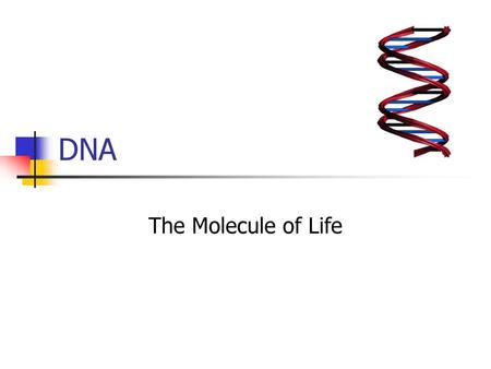 DNA The Molecule of Life.