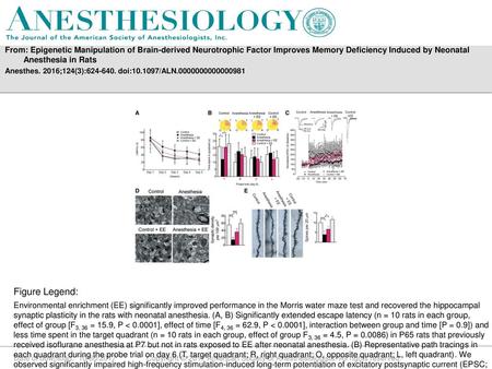 From: Epigenetic Manipulation of Brain-derived Neurotrophic Factor Improves Memory Deficiency Induced by Neonatal Anesthesia in Rats Anesthes. 2016;124(3):624-640.