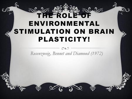 The role of environmental stimulation on brain plasticity!