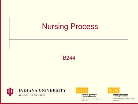 Nursing Process B244.